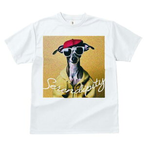 C^AO[nEh TVc fB[X t@  t  vg JWA 킢 lԗp h ̃fUC ʔ Xq C^AO[nEh TOX 