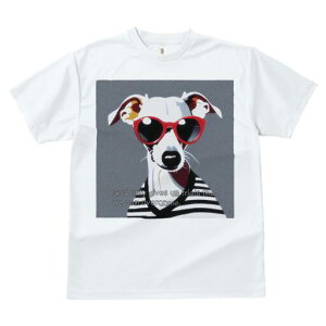 C^AO[nEh TVc fB[X t@  t  vg JWA 킢 lԗp h ̃fUC ʔ TOX C^AO[nEh Xg