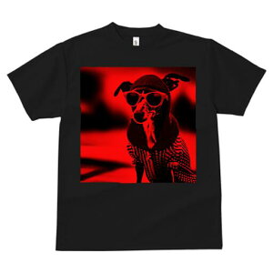 C^AO[nEh TVc fB[X t@  t  vg JWA 킢 lԗp h ̃fUC ʔ TOX C^AO[nEh Xq 