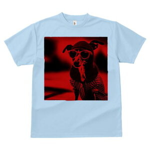 C^AO[nEh TVc fB[X t@  t  vg JWA 킢 lԗp h ̃fUC ʔ TOX C^AO[nEh Xq 