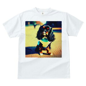 LoA TVc fB[X t@  t  vg JWA 킢 lԗp h ̃fUC ʔ  LoA Z[^[