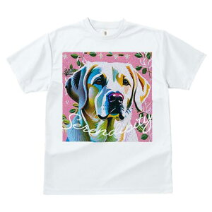 uh[go[ TVc fB[X t@  t  vg JWA 킢 lԗp h ̃fUC ʔ A uh[go[ ԕ