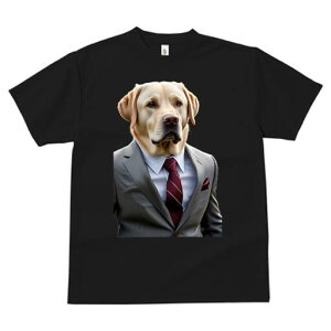 uh[go[ TVc fB[X t@  t  vg JWA 킢 lԗp h ̃fUC ʔ X[c uh[go[ lN^C |P