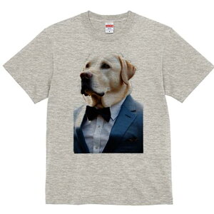 uh[go[ TVc fB[X t@  t  vg JWA 킢 lԗp h ̃fUC ʔ X[c uh[go[ lN^C