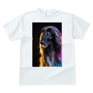 AtKnEh TVc fB[X t@  t  vg JWA 킢 lԗp h ̃fUC ʔ  AtKnEh e t@bV GK