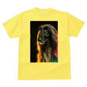 AtKnEh TVc fB[X t@  t  vg JWA 킢 lԗp h ̃fUC ʔ  AtKnEh e t@bV GK