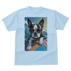 {XgeA TVc fB[X t@  t  vg JWA 킢 lԗp h ̃fUC ʔ TOX {XgeA T[tB g C