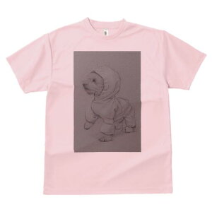 rVt[[ TVc fB[X t@  t  vg JWA 킢 lԗp h ̃fUC ʔ t[htWPbg rVt[[ 