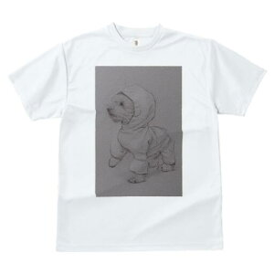 rVt[[ TVc fB[X t@  t  vg JWA 킢 lԗp h ̃fUC ʔ t[htWPbg rVt[[ 