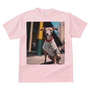 C^AO[nEh TVc fB[X t@  t  vg JWA 킢 lԗp h ̃fUC ʔ Z[^[ C^AO[nEh 