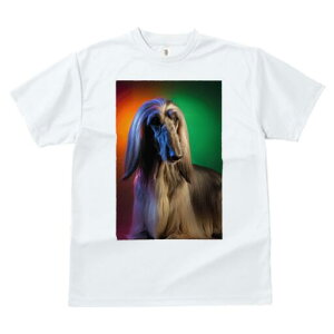 AtKnEh TVc fB[X t@  t  vg JWA 킢 lԗp h ̃fUC ʔ AtKnEh