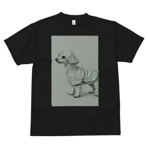 [NV[eA TVc fB[X t@  t  vg JWA 킢 lԗp h ̃fUC ʔ CR[g [NV[eA