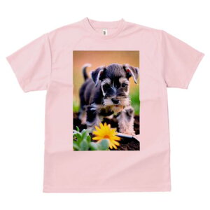 ~j`AViEU[ TVc fB[X t@  t  vg JWA 킢 lԗp h ̃fUC ʔ  ~j`AViEU[ 