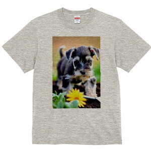 ~j`AViEU[ TVc fB[X t@  t  vg JWA 킢 lԗp h ̃fUC ʔ  ~j`AViEU[ 