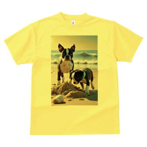 {XgeA TVc fB[X t@  t  vg JWA 킢 lԗp h ̃fUC ʔ r[` {XgeA C g 