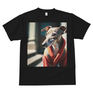 C^AO[nEh TVc fB[X t@  t  vg JWA 킢 lԗp h ̃fUC ʔ  C^AO[nEh