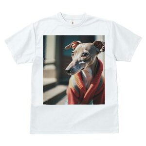 C^AO[nEh TVc fB[X t@  t  vg JWA 킢 lԗp h ̃fUC ʔ  C^AO[nEh