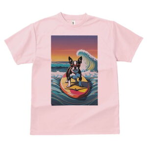 {XgeA TVc fB[X t@  t  vg JWA 킢 lԗp h ̃fUC ʔ g {XgeA T[tB C 