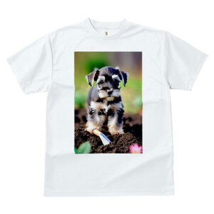 ~j`AViEU[ TVc Y LbY t@  t  vg JWA 킢 lԗp h ̃fUC ʔ  ~j`AViEU[ y XRbv 