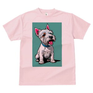 EGXgnChzCgeA TVc fB[X t@  t  vg JWA 킢 lԗp h ̃fUC ʔ  EGXgnChzCge