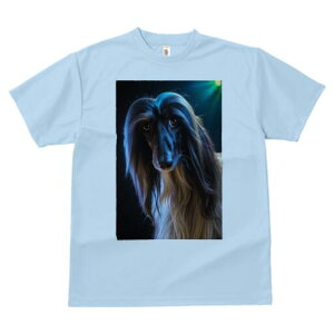 AtKnEh TVc fB[X t@  t  vg JWA 킢 lԗp h ̃fUC ʔ AtKnEh