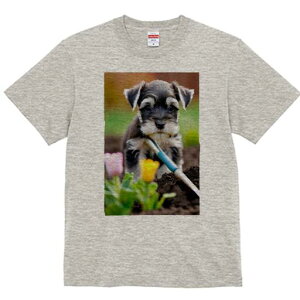 ~j`AViEU[ TVc fB[X t@  t  vg JWA 킢 lԗp h ̃fUC ʔ  ~j`AViEU[  y