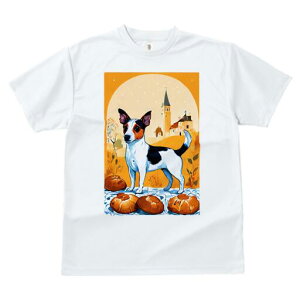 WbNbZeA TVc fB[X t@  t  vg JWA 킢 lԗp h ̃fUC ʔ p WbNbZeA 