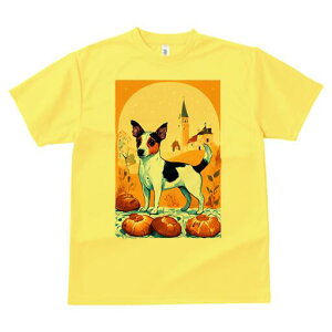 WbNbZeA TVc fB[X t@  t  vg JWA 킢 lԗp h ̃fUC ʔ p WbNbZeA 