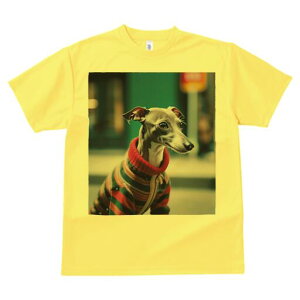 C^AO[nEh TVc fB[X t@  t  vg JWA 킢 lԗp h ̃fUC ʔ Z[^[ C^AO[nEh Xg