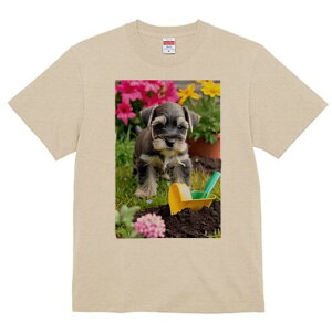 ~j`AViEU[ TVc Y LbY t@  t  vg JWA 킢 lԗp h ̃fUC ʔ  ~j`AViEU[  y XRbv