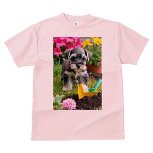 ~j`AViEU[ TVc fB[X t@  t  vg JWA 킢 lԗp h ̃fUC ʔ  ~j`AViEU[  y XRbv