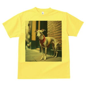 C^AO[nEh TVc fB[X t@  t  vg JWA 킢 lԗp h ̃fUC ʔ  C^AO[nEh Z[^[ X