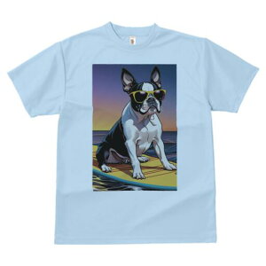 {XgeA TVc fB[X t@  t  vg JWA 킢 lԗp h ̃fUC ʔ TOX {XgeA T[t{[h C [Ă