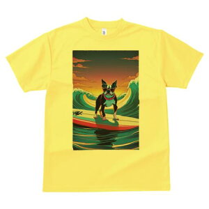 {XgeA TVc Y LbY t@  t  vg JWA 킢 lԗp h ̃fUC ʔ g {XgeA T[tB C 