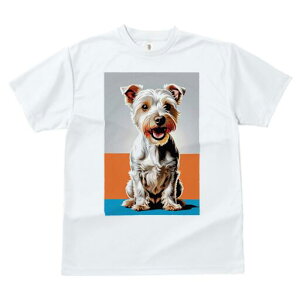 m[tH[NeA TVc fB[X t@  t  vg JWA 킢 lԗp h ̃fUC ʔ TVc m[tH[NeA t@bV fUC