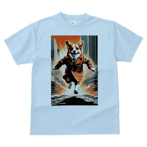 R[M[ TVc fB[X t@  t  vg JWA 킢 lԗp h ̃fUC ʔ X[c R[M[ lN^C s 