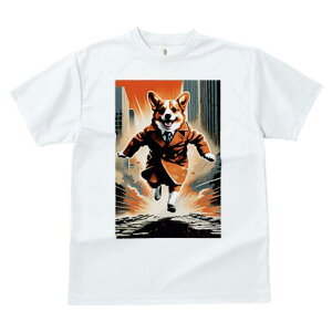 R[M[ TVc fB[X t@  t  vg JWA 킢 lԗp h ̃fUC ʔ X[c R[M[ lN^C s 