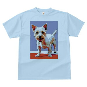 EGXgnChzCgeA TVc fB[X t@  t  vg JWA 킢 lԗp h ̃fUC ʔ EGXgnChzCgeA