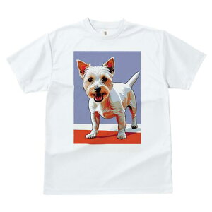 EGXgnChzCgeA TVc fB[X t@  t  vg JWA 킢 lԗp h ̃fUC ʔ EGXgnChzCgeA