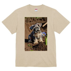 ~j`AViEU[ TVc fB[X t@  t  vg JWA 킢 lԗp h ̃fUC ʔ  ~j`AViEU[ y