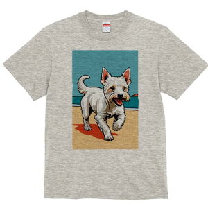 EGXgnChzCgeA TVc fB[X t@  t  vg JWA 킢 lԗp h ̃fUC ʔ r[` EGXgnChzCg