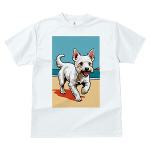 EGXgnChzCgeA TVc Y LbY t@  t  vg JWA 킢 lԗp h ̃fUC ʔ r[` EGXgnChz