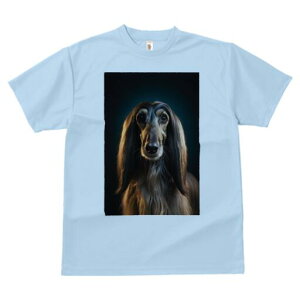 AtKnEh TVc fB[X t@  t  vg JWA 킢 lԗp h ̃fUC ʔ AtKnEh