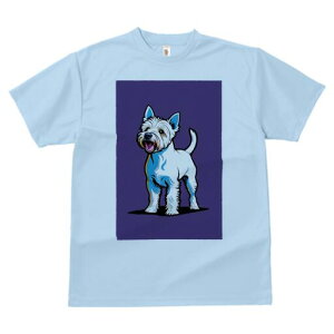 EGXgnChzCgeA TVc fB[X t@  t  vg JWA 킢 lԗp h ̃fUC ʔ EGXgnChzCgeA