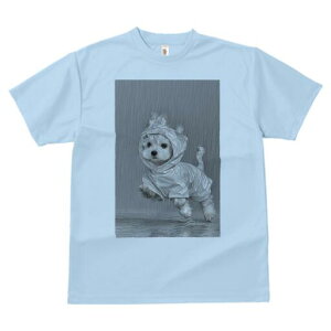 }`[Y TVc fB[X t@  t  vg JWA 킢 lԗp h ̃fUC ʔ J }`[Y CR[g