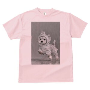 }`[Y TVc fB[X t@  t  vg JWA 킢 lԗp h ̃fUC ʔ J }`[Y CR[g