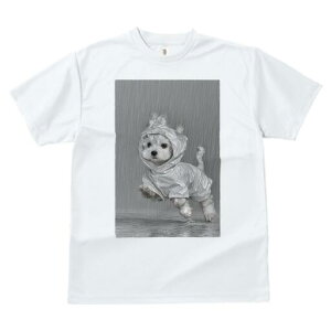 マルチーズ Tシャツ レディース 犬ファン 半袖 春夏 犬柄 プリント カジュアル かわいい 人間用 個性派 ここだけのデザイン 面白 雨 マルチーズ レインコート