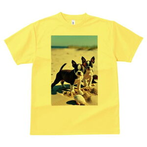 {XgeA TVc fB[X t@  t  vg JWA 킢 lԗp h ̃fUC ʔ r[` {XgeA C