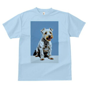 m[tH[NeA TVc fB[X t@  t  vg JWA 킢 lԗp h ̃fUC ʔ m[tH[NeA