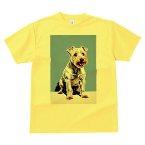 m[tH[NeA TVc fB[X t@  t  vg JWA 킢 lԗp h ̃fUC ʔ m[tH[NeA